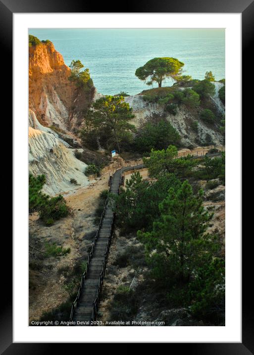 Walk to the Beach Around Pines and Cliffs Framed Mounted Print by Angelo DeVal