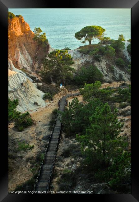 Walk to the Beach Around Pines and Cliffs Framed Print by Angelo DeVal