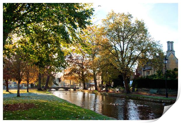 Bourton on the Water Autumn Trees Cotswolds UK Print by Andy Evans Photos