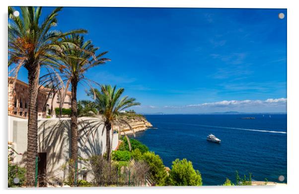 Coastline of Mallorca Acrylic by Alex Winter