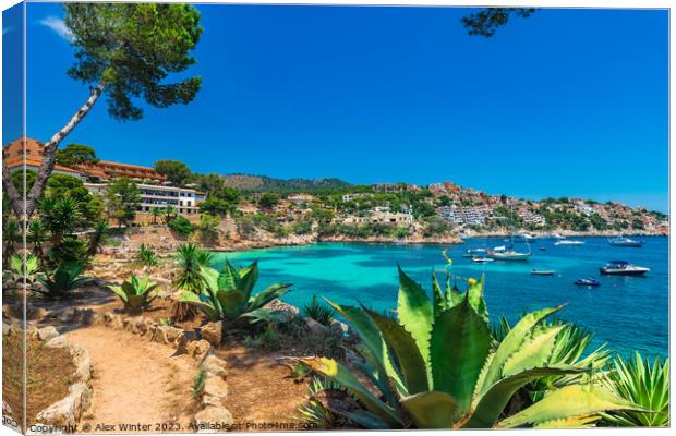 Cala Fornells, Spain  Canvas Print by Alex Winter