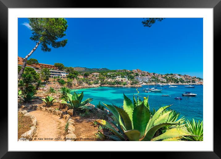 Cala Fornells, Spain  Framed Mounted Print by Alex Winter