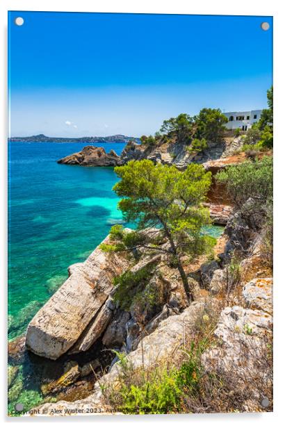 Coast landscape Mediterranean Sea Majorca island,  Acrylic by Alex Winter