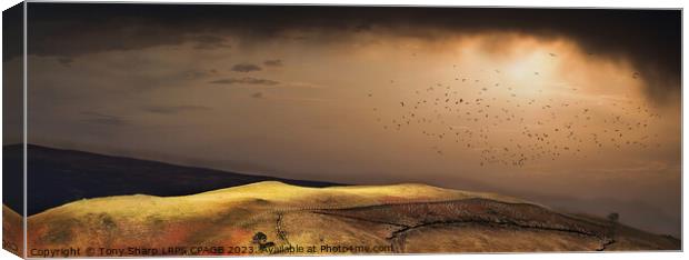 LIGHT OVER THE FELLS Canvas Print by Tony Sharp LRPS CPAGB