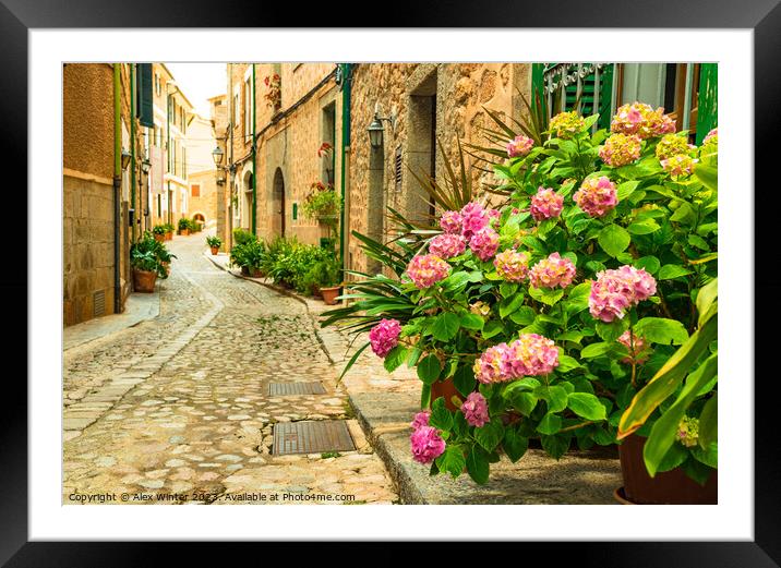 Flowers street in Fornalutx Framed Mounted Print by Alex Winter