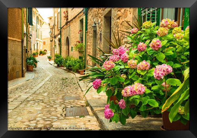Flowers street in Fornalutx Framed Print by Alex Winter