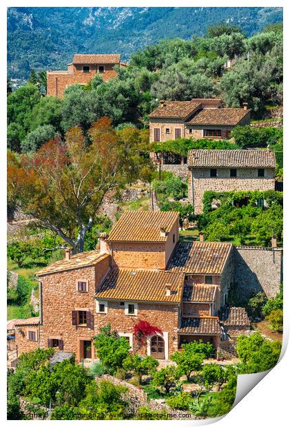 A Rustic Mediterranean Fornalutx village, Spain Print by Alex Winter
