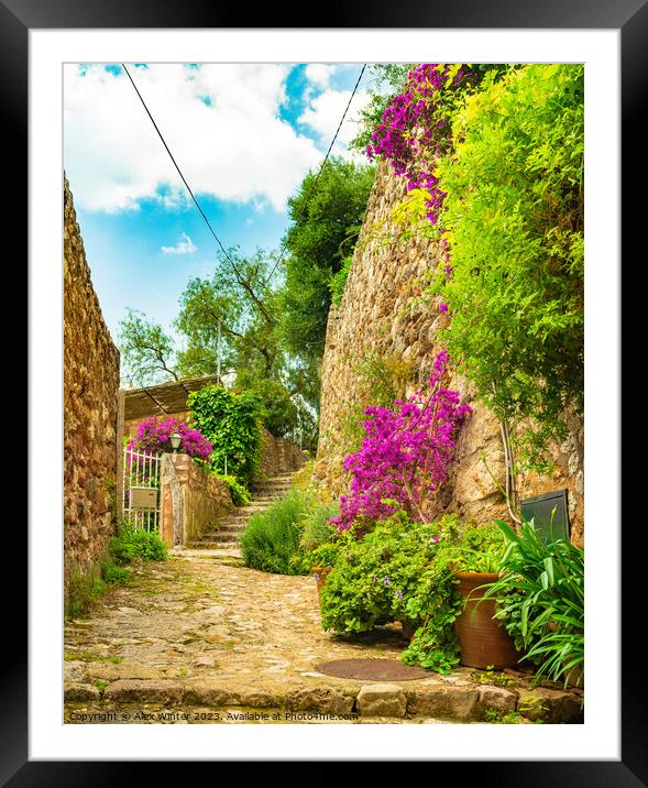 Idyllic view of beautiful flowers street in old vi Framed Mounted Print by Alex Winter