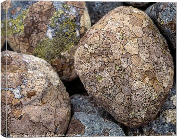 Lichen covered pebbles Canvas Print by Photimageon UK