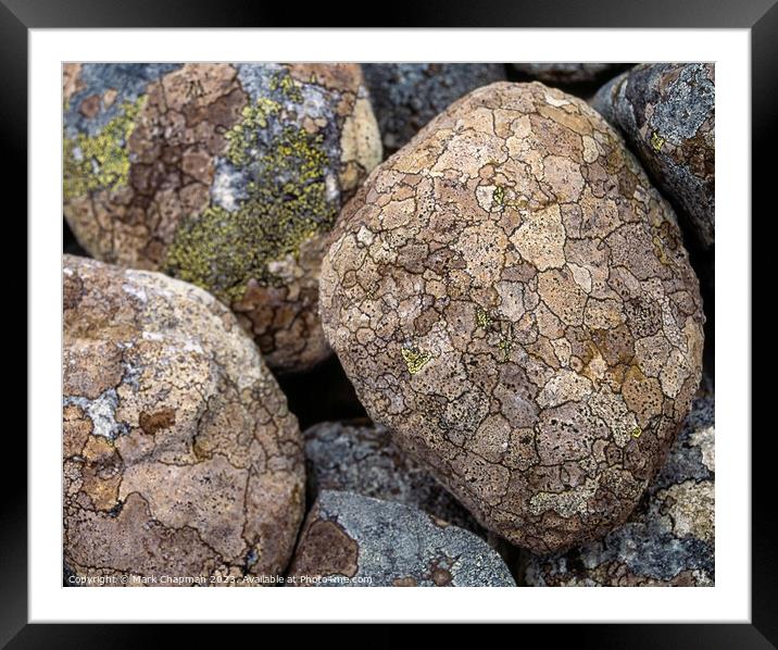 Lichen covered pebbles Framed Mounted Print by Photimageon UK