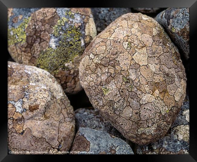 Lichen covered pebbles Framed Print by Photimageon UK