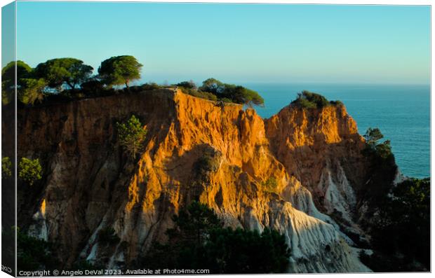 Sea and Sunbathing Cliffs in Algarve Canvas Print by Angelo DeVal