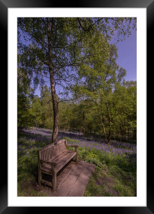 A Symphony of Bluebells Framed Mounted Print by Ron Ella