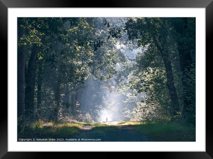 Fog in the Forest Framed Mounted Print by Rebekah Stiles