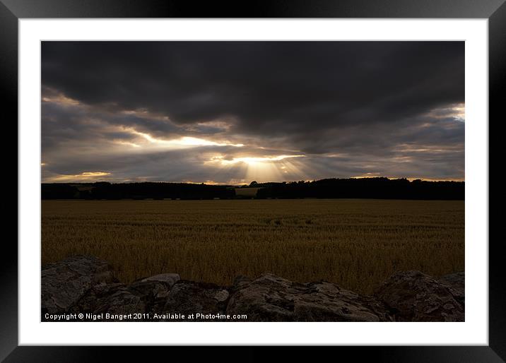 Sun's Rays at Bowsden Framed Mounted Print by Nigel Bangert