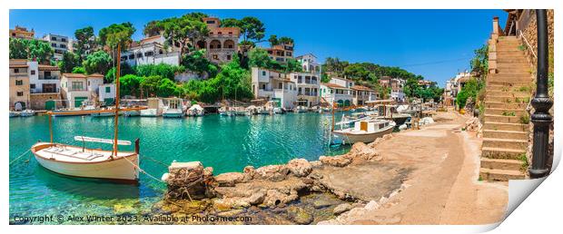 Panoramic view of traditional fisher town harbour Print by Alex Winter