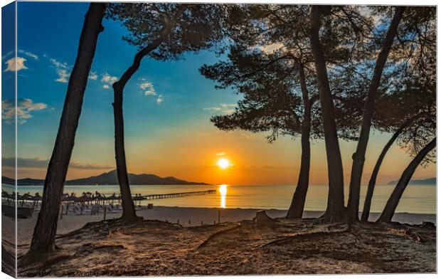 Idyllic view of sunrise at coast Alcudia Bay Canvas Print by Alex Winter