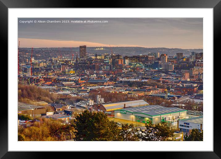 Sheffield  Framed Mounted Print by Alison Chambers