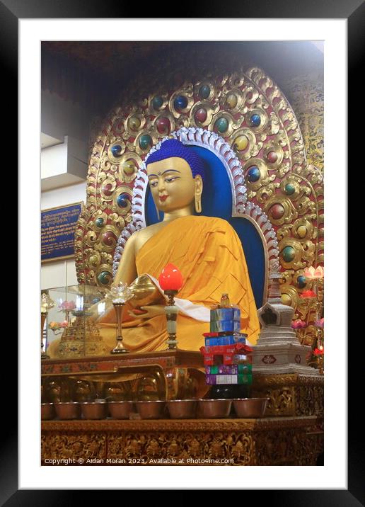 The Serene Buddha of Namgyal Monastery Framed Mounted Print by Aidan Moran