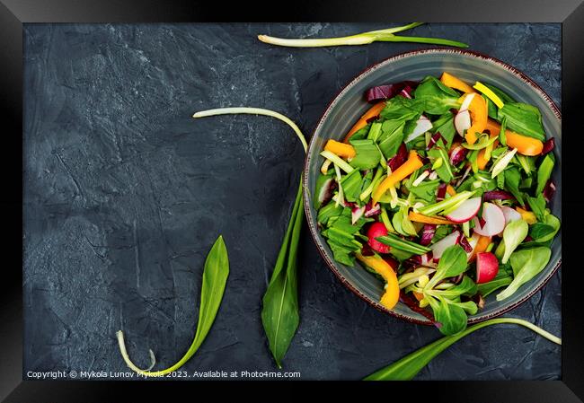 Vegetable vitamin salad with wild garlic Framed Print by Mykola Lunov Mykola