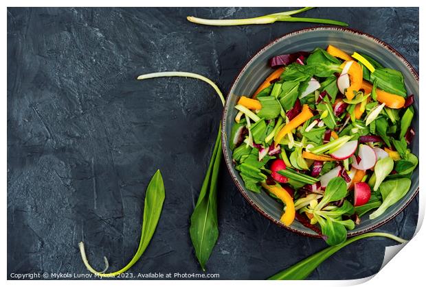 Vegetable vitamin salad with wild garlic Print by Mykola Lunov Mykola