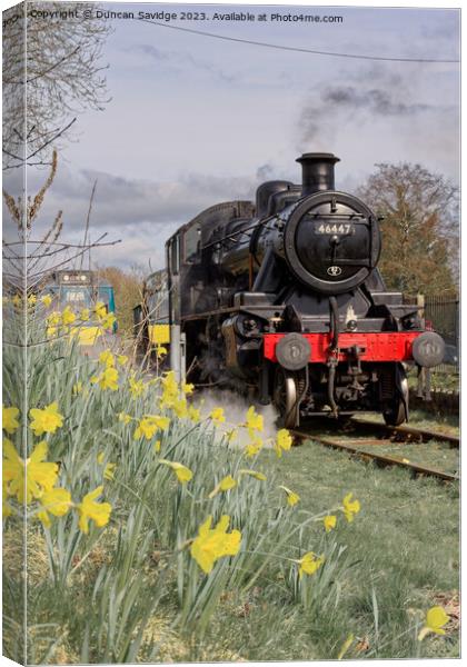 46447 Ivatt at East Somerset Railway against the daffodils  - steam train Canvas Print by Duncan Savidge