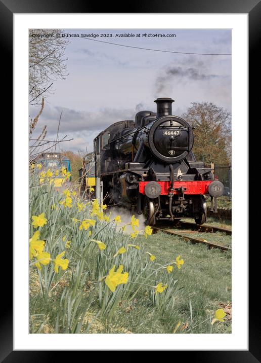46447 Ivatt at East Somerset Railway against the daffodils  - steam train Framed Mounted Print by Duncan Savidge