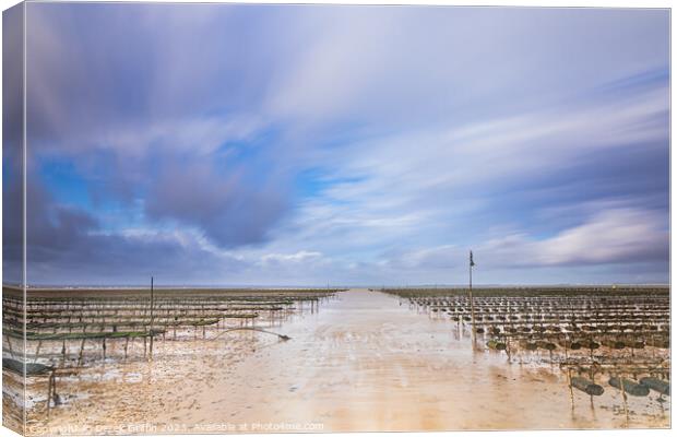 Whitstable oyster beds Canvas Print by Derek Griffin