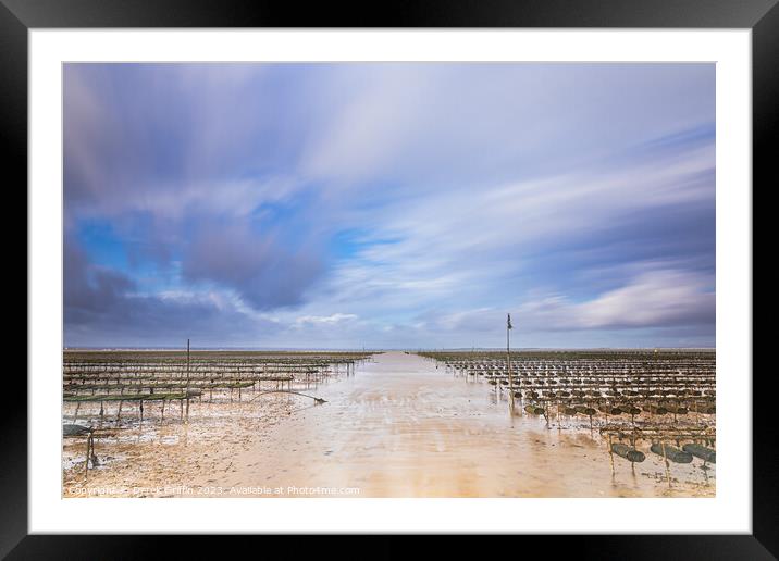 Whitstable oyster beds Framed Mounted Print by Derek Griffin