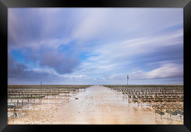 Whitstable oyster beds Framed Print by Derek Griffin