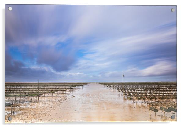 Whitstable oyster beds Acrylic by Derek Griffin