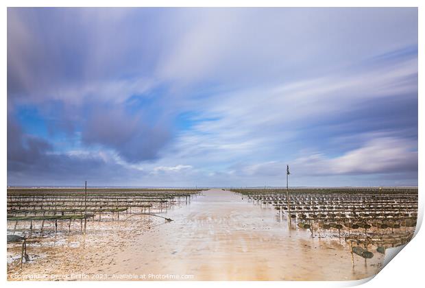 Whitstable oyster beds Print by Derek Griffin