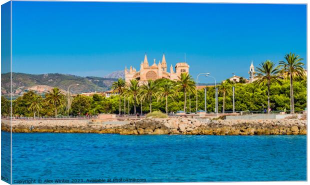 View of Gothic Cathedral La Seu, Palma Canvas Print by Alex Winter