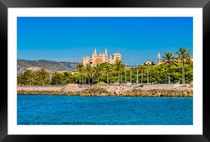 View of Gothic Cathedral La Seu, Palma Framed Mounted Print by Alex Winter