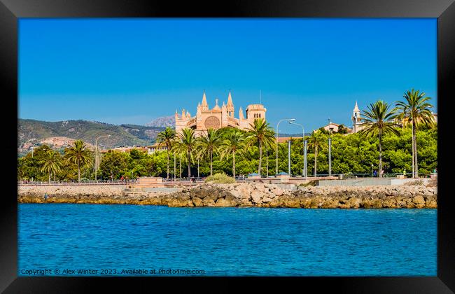 View of Gothic Cathedral La Seu, Palma Framed Print by Alex Winter