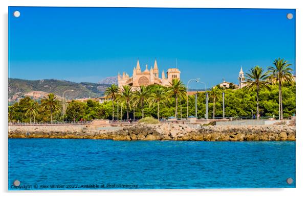View of Gothic Cathedral La Seu, Palma Acrylic by Alex Winter