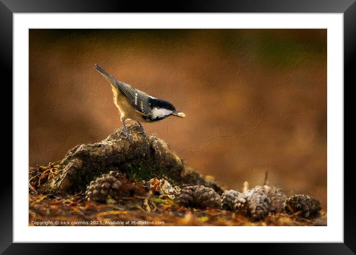 Coal Tit Feeding Oil effect Framed Mounted Print by nick coombs