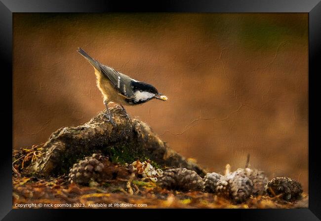 Coal Tit Feeding Oil effect Framed Print by nick coombs