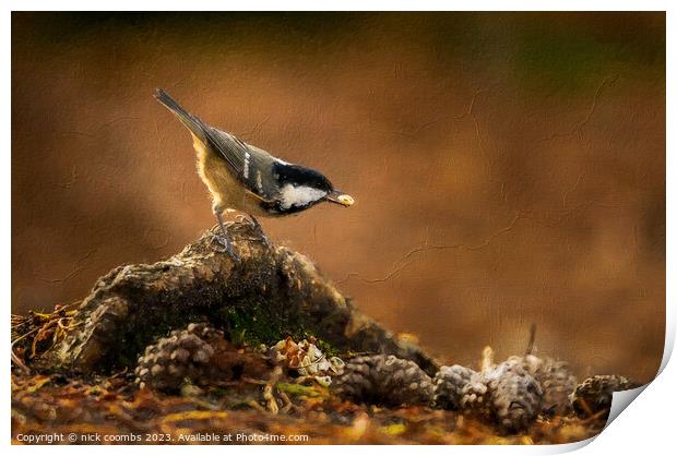 Coal Tit Feeding Oil effect Print by nick coombs