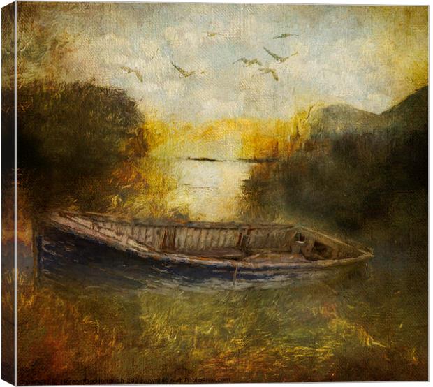Hidden in the shallows Canvas Print by Horace Goodenough