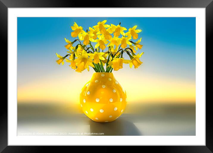 Vase Of Daffodils  Framed Mounted Print by Alison Chambers