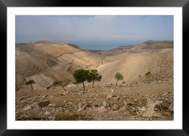 Landscape near Mukawir or Machaerus, Jordan Framed Mounted Print by Dietmar Rauscher