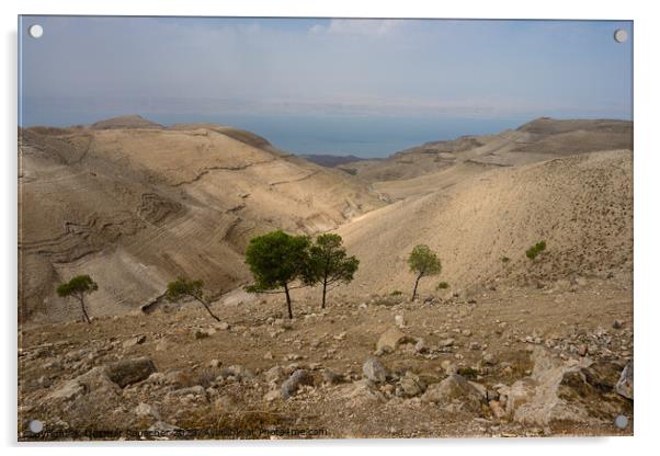 Landscape near Mukawir or Machaerus, Jordan Acrylic by Dietmar Rauscher