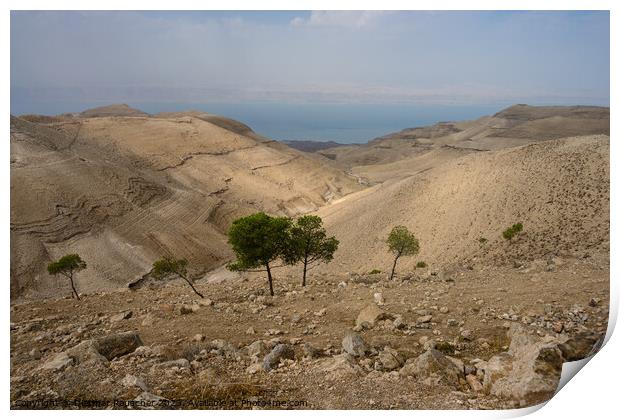 Landscape near Mukawir or Machaerus, Jordan Print by Dietmar Rauscher