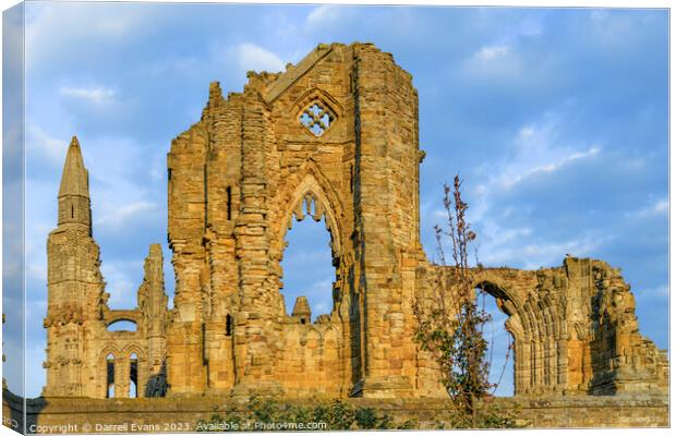 Whitby Abbey Ruins Canvas Print by Darrell Evans