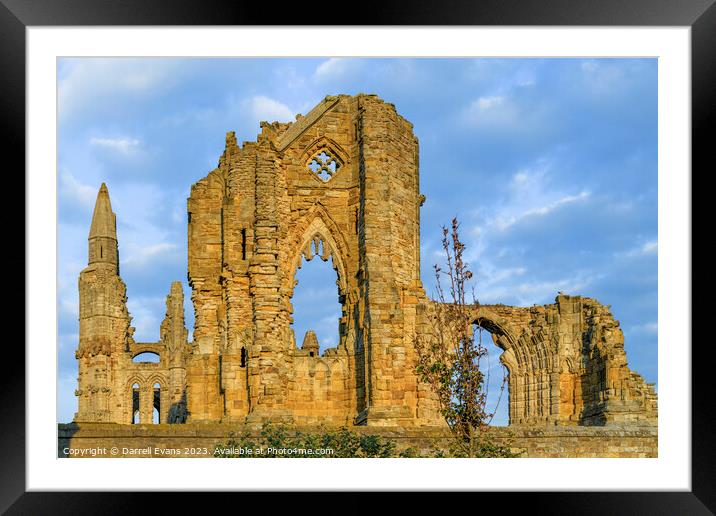 Whitby Abbey Ruins Framed Mounted Print by Darrell Evans