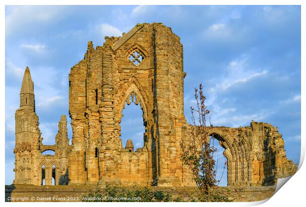Whitby Abbey Ruins Print by Darrell Evans