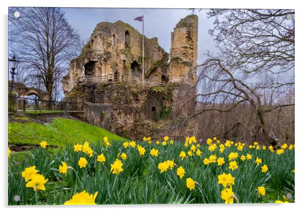 Knaresborough Castle Daffodils Acrylic by Steve Smith