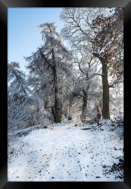 Snow covered in public footpath in the Scottish Borders Framed Print by Dave Collins