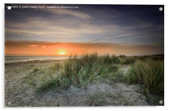 Peaceful Sunrise on Caister Beach Acrylic by David Powley